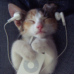 Zarek - Remix 008 Testing Dubstep Part II