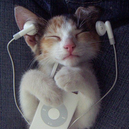 Zarek - Remix 008 Testing Dubstep Part II