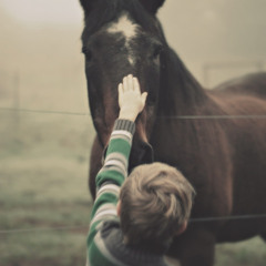 Owl & Penny | Wild Woods (Demo)