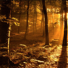 The Moon Mantra (Aum Shree Gaya)