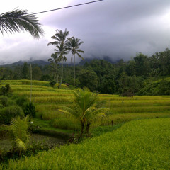 Bali 1
