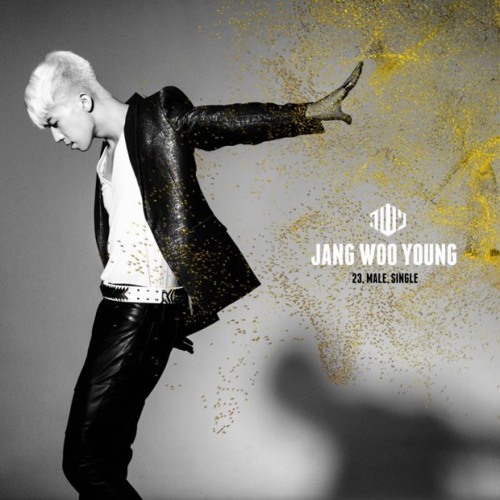 Jang Woo Young - Only Girl
