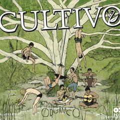 Toco