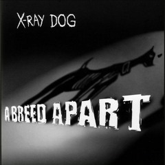 X-Ray dog - Best picture
