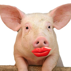 Lipstick
