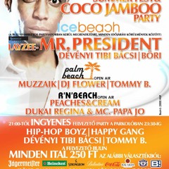 Tommy B. & Dj Flower & Muzzaik - Live @ PalmBeach Summer Fest 2012.06.30.