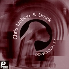 A1 - chris liebling and umek - ding