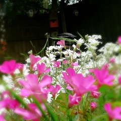 Someone Somewhere in Summertime (Andrulian re-edit)