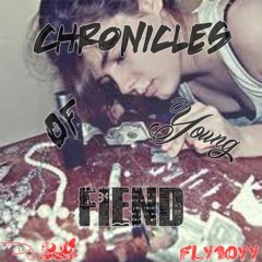 Stoner Vision - Chronicles Of A Young Fien -*Based**Smoke To This* *Rare* Anti-Sober Mixtape