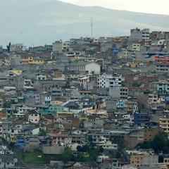 Bach Goldberg Var 1 - Cittern and Mandolin