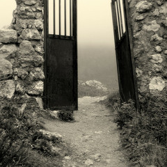 Immortality