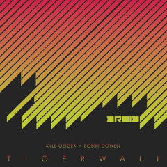 3_B1 - Tigerwall (Edit Select remix  Speedy J edit)_Kyle Geiger and Bobby Dowell_Tigerwall (DROID12)