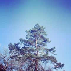 01 Blue Light (Bloc Party cover)