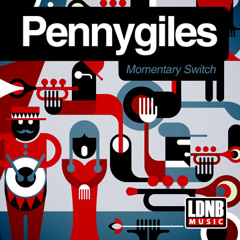 Pennygiles - momentary switch (LDNB)