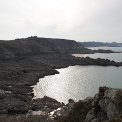 03-Bossa nova  feat mina  (lounge live)