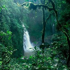 Misterios Etnicos De La Selva