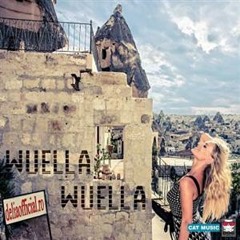 Delia - Wuella Wuella (DJ tYgEr Personal Bootleg)