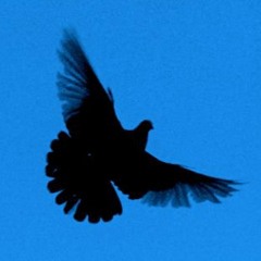 Django Django_Default ( o9 vs Seraph remix)