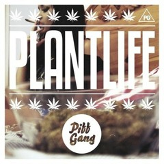 Piff Gang - Exodus