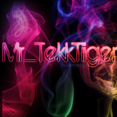 Teka B - Like a Ho (Mr.TekkTiiger Remix)
