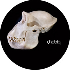 Tomy DeClerque - Z-Nasti (Sam Paganini remix) - Phobiq