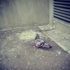 The Weeknd x JMSN x Birds