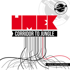 UMEK - Flashback to Another Place (Original Mix)