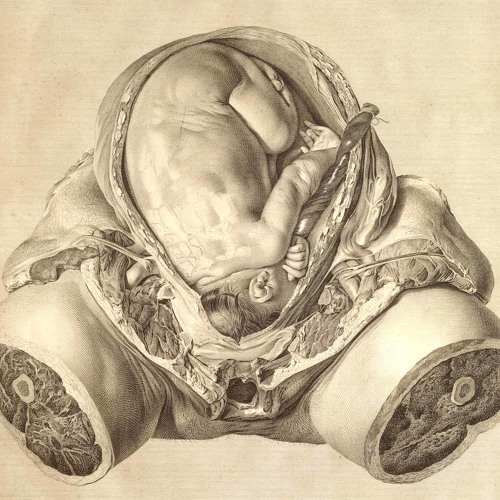 SIDECHAINING MY NOISY THOUGHTS TO A SILENT HEART BEAT • Mr.Jane (16/7/12)