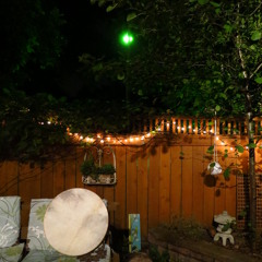 Frame Drum, Cicadas, Airplane