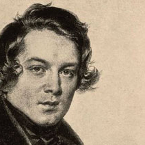 Robert Schumann /Piano Concerto (1st Movement)