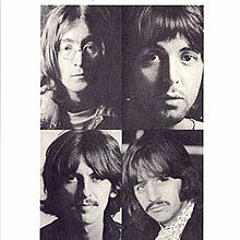 【AL】The Beatles Black Bird (Guitar Cover)