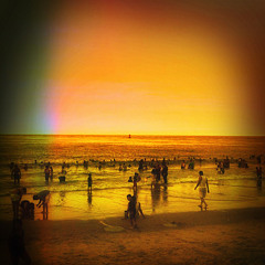 Dog and the Search for DSL