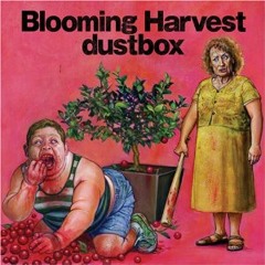 dustbox - Life is Beautiful