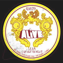 S.K.A.M. - I Got What You Need (Shadow Child Freakmix)  [ALiVE]
