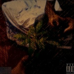 Concepto Hip Hop-La vida que se lleba