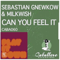 Can You Feel It (Matthew Codek Remix) VS Sally (Original Mix) - Nakarok Mash Up
