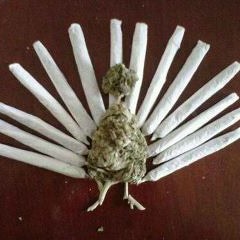 we smoke that  kush!