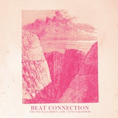 Beat Connection  - The Palace Garden, 4am