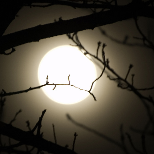 Silvano Scarpetta - Hoodoo (Original Mix)