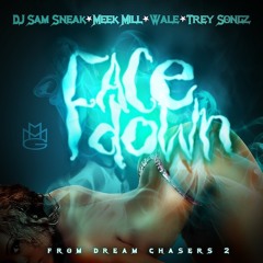 Meek Mill Ft. Wale, Trey Songz, &amp; DJ Sam Sneak - Face Down