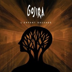 Gojira - Liquid Fire