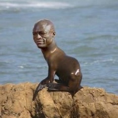 Clubbin' Seals