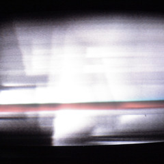 Great Big Dogs From Alaska