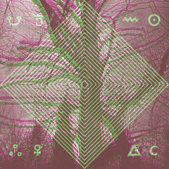 All the Colours of the Night