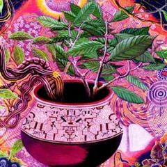 Toquio - Ayahuasca