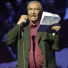الأحزان العادية