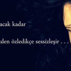 Caner Gülsüm - ERtelendim HEP YILLARCA SEVDALARDAN A§KTAN YANA