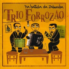 16 - A Pergunta - Trio Forrozão