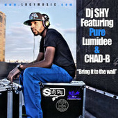 DJ Shy - Bring It To The Wall Remix