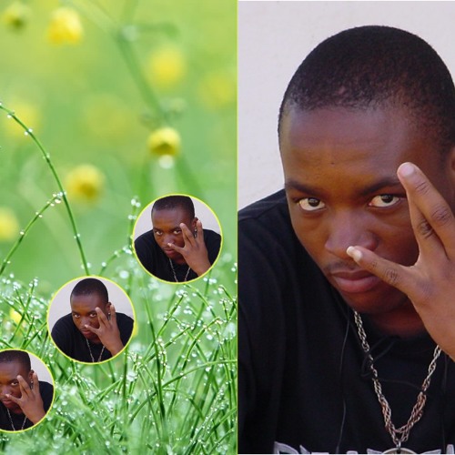 D_trine Records. by T-raq